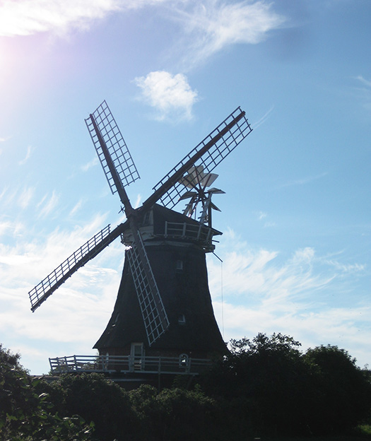 Dr Ute Pichler, Psychotherapie Linz Dr Ute Pichler, Psychotherapie Linz